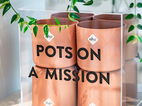 elho pots